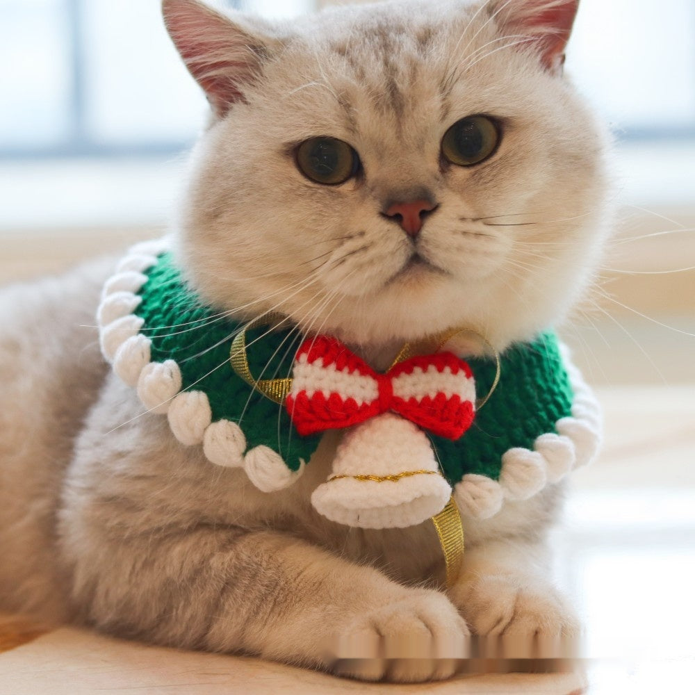 Festive knit scarf on a pet