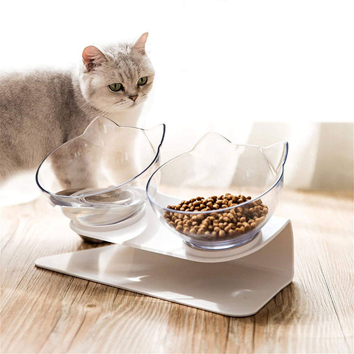 Raised clear pet feeder