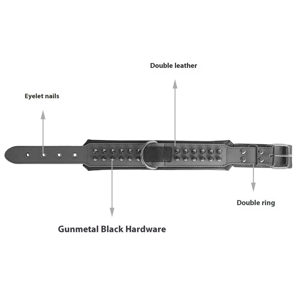 Leather collar hardware close-up