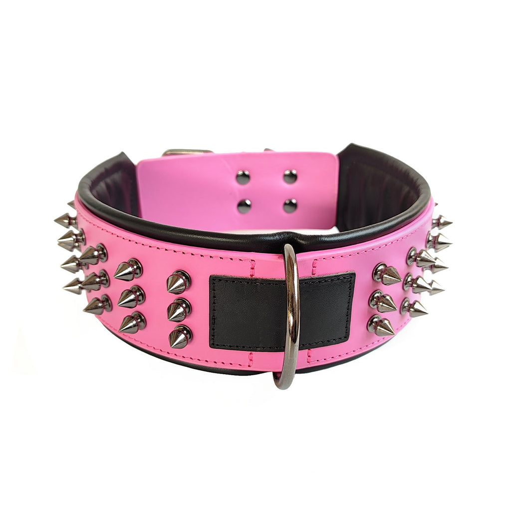 Bandana collar on pet