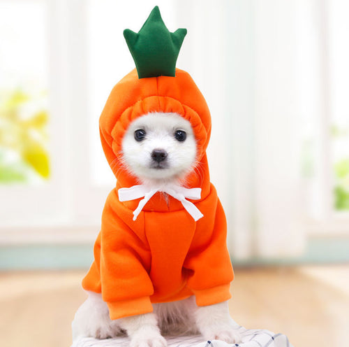 Dog wearing orange carrot cosplay fleece hoodie