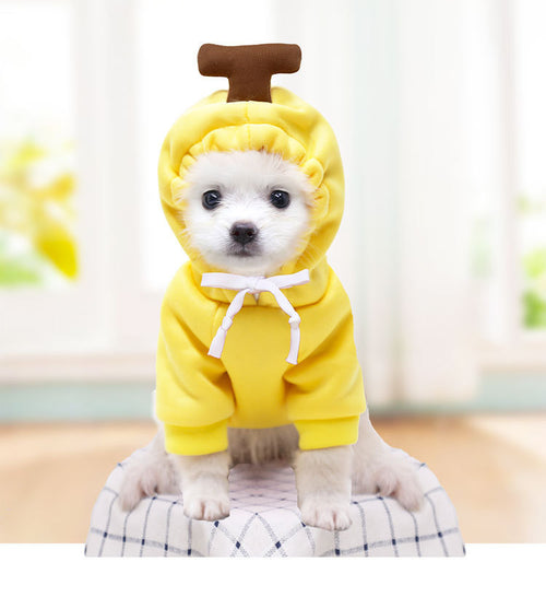 Dog wearing yellow banana cosplay fleece hoodie