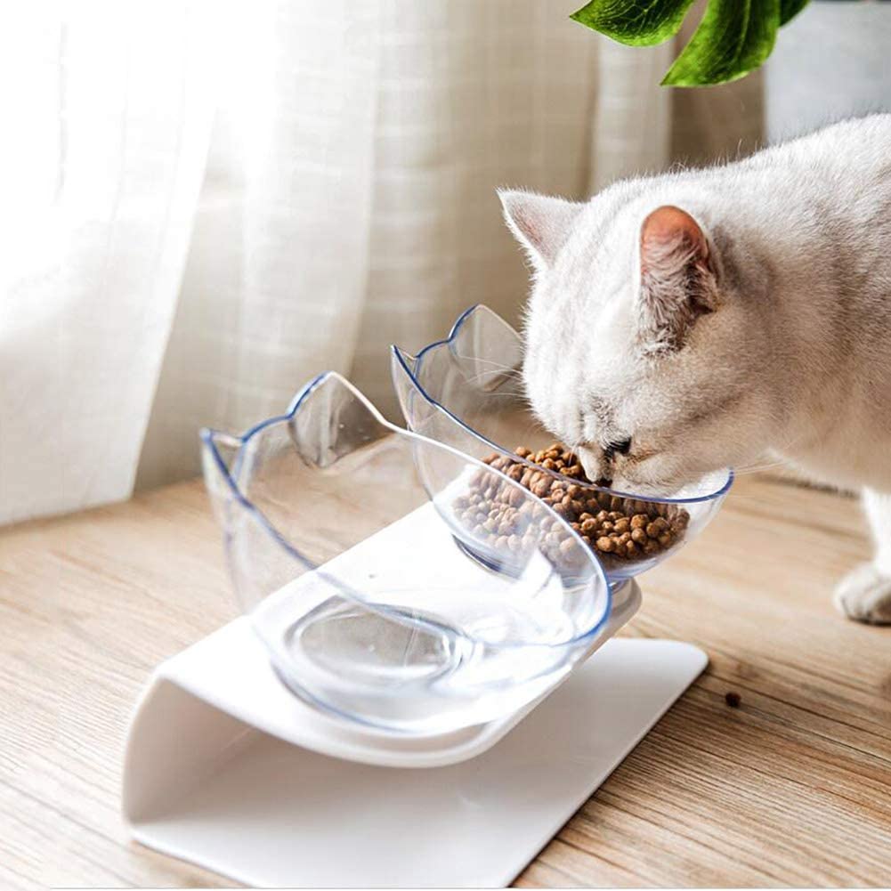 Elevated transparent cat bowl stand