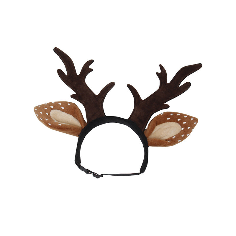 Reindeer antlers on a dog
