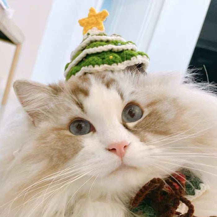 Handmade wool Christmas pet hat