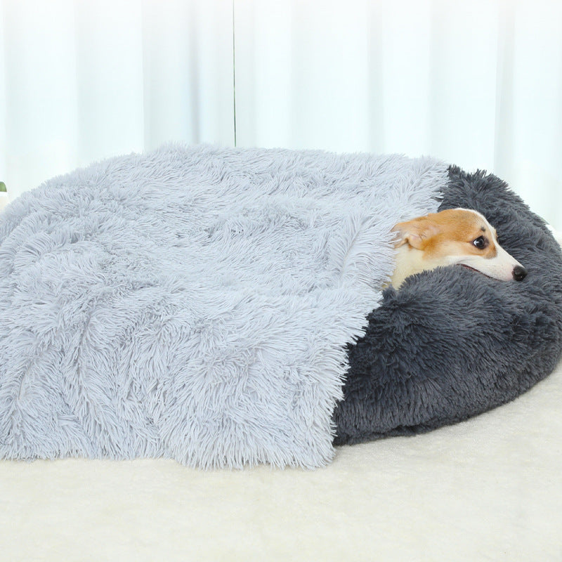Pet winter throw lifestyle