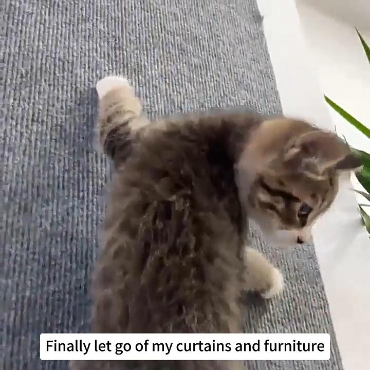 Beige carpet cat scratch panel