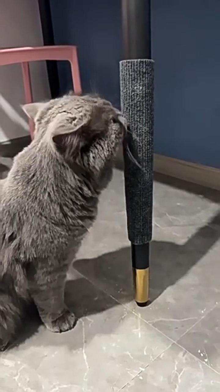 Self-adhesive scratch board