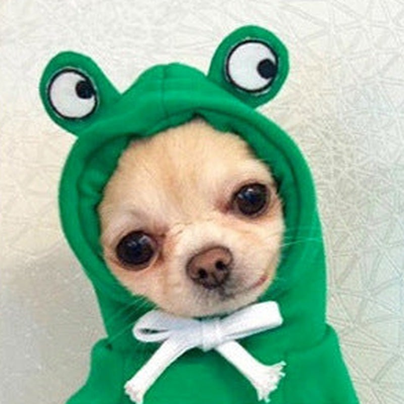 Dog wearing green frog cosplay fleece hoodie