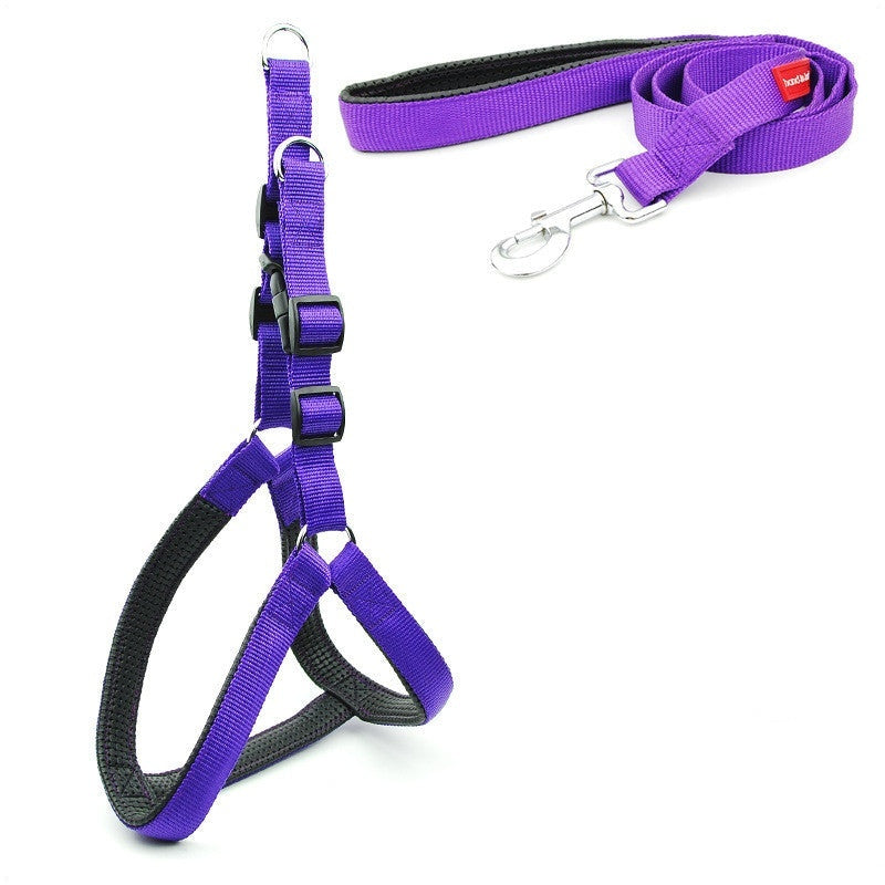 Purple padded reflective dog harness and matching leash