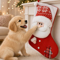Puppy with knitted Christmas pet stocking